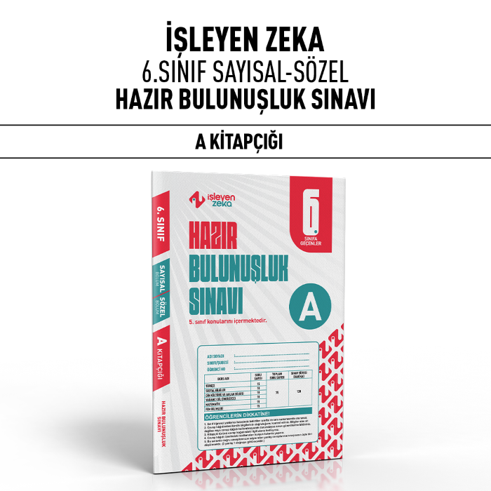 İŞLEYEN ZEKA 6.SINIF SAYISAL-SÖZEL A.png